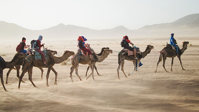 camel caravan in the desert