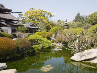 Korakuen garden in Okayama